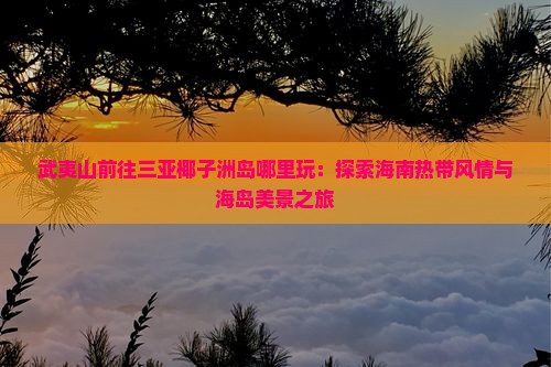 武夷山前往三亚椰子洲岛哪里玩：探索海南热带风情与海岛美景之旅