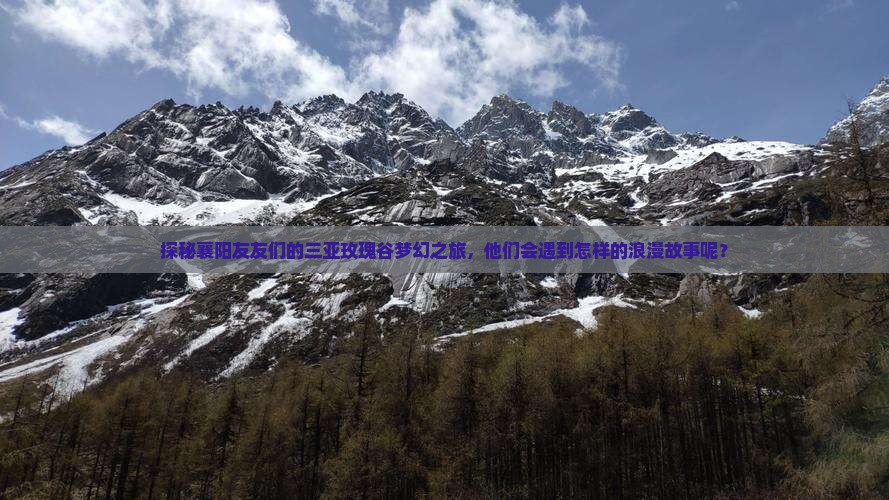 探秘襄阳友友们的三亚玫瑰谷梦幻之旅，他们会遇到怎样的浪漫故事呢？