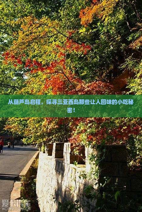 从葫芦岛启程，探寻三亚西岛那些让人回味的小吃秘密！