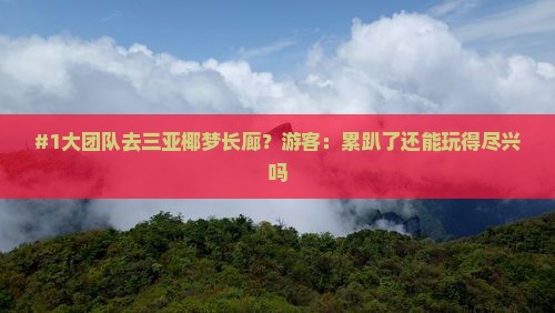 #1大团队去三亚椰梦长廊？游客：累趴了还能玩得尽兴吗