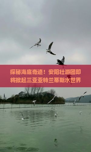 探秘海底奇迹！安阳壮游团即将掀起三亚亚特兰蒂斯水世界狂潮？