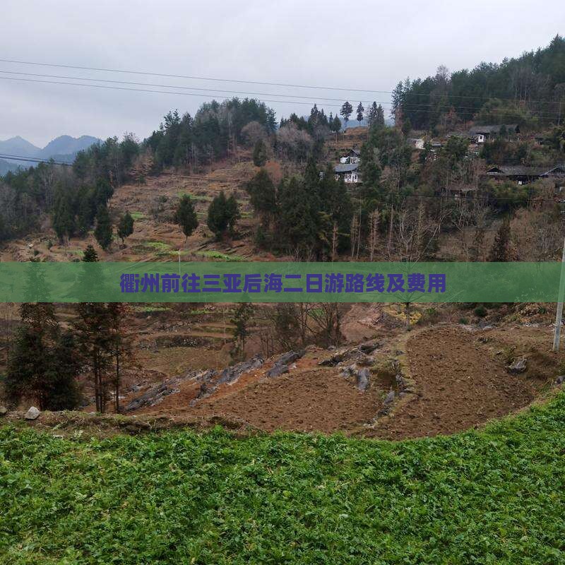 衢州前往三亚后海二日游路线及费用