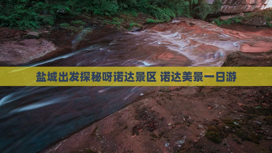 盐城出发探秘呀诺达景区 诺达美景一日游