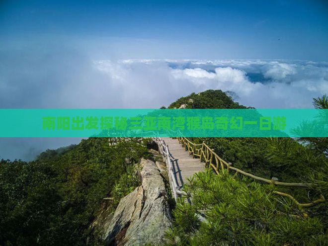 南阳出发探秘三亚南湾猴岛奇幻一日游