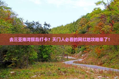 去三亚南湾猴岛打卡？天门人必看的网红地攻略来了！