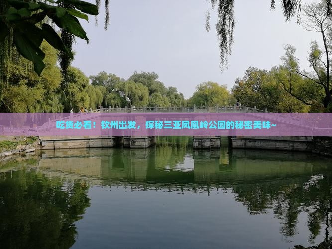 吃货必看！钦州出发，探秘三亚凤凰岭公园的秘密美味~