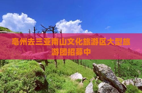亳州去三亚南山文化旅游区大型旅游团招募中