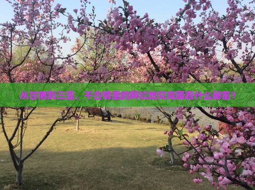 从甘南到三亚，千古情里的网红地究竟藏着什么秘密？