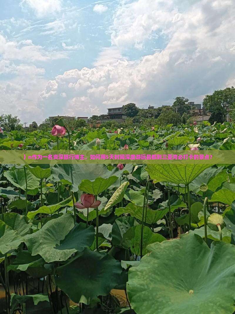 ）n作为一名资深旅行博主，如何用5天时间深度游玩昌都到三亚湾必打卡的景点？