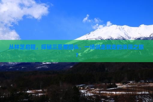 从林芝启程，探秘三亚鹿回头，一场说走就走的浪漫之旅？