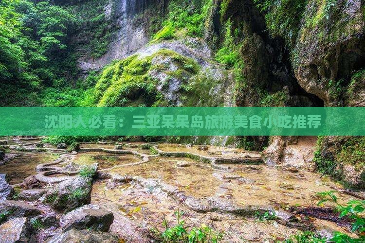 沈阳前往三亚呆呆岛旅游小吃