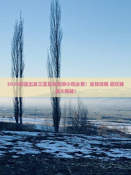 和县出发三亚后海旅游小吃