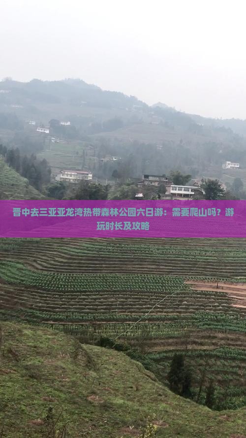晋中去三亚亚龙湾热带森林公园六日游
