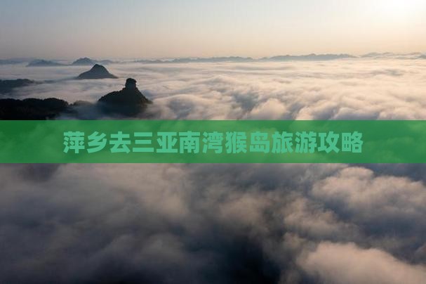 萍乡去三亚南湾猴岛旅游