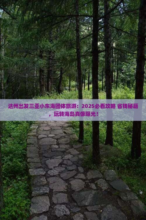 达州出发三亚小东海团体旅游