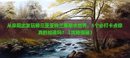 阜阳出发三亚亚特兰蒂斯水世界旅游打卡点