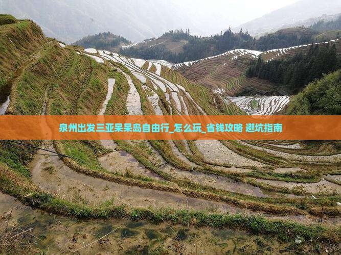 泉州出发三亚呆呆岛自由行