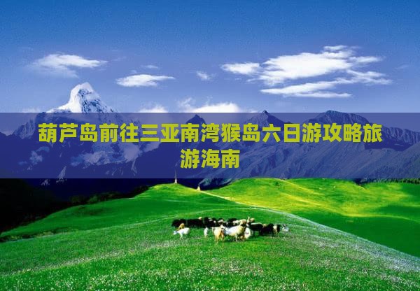 葫芦岛前往三亚南湾猴岛六日游