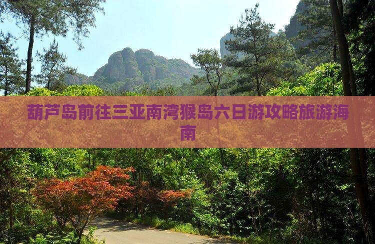 葫芦岛前往三亚南湾猴岛六日游