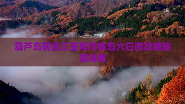 葫芦岛前往三亚南湾猴岛六日游