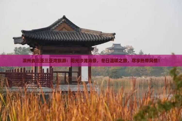 滨州去三亚三亚湾旅游