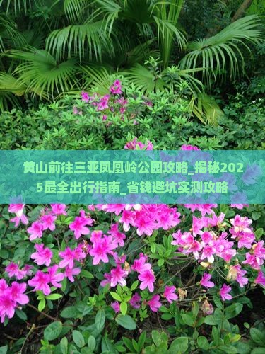 黄山前往三亚凤凰岭公园攻略