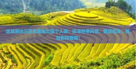运城前往三亚凤凰岭公园个人游