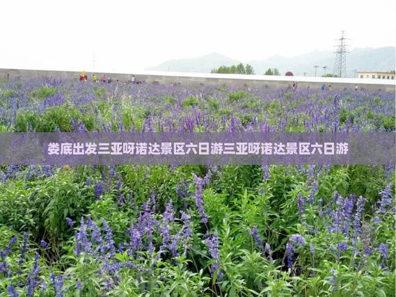 娄底出发三亚呀诺达景区六日游