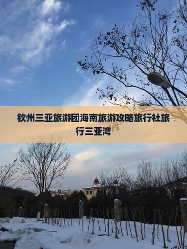 钦州前往三亚三亚湾旅行社