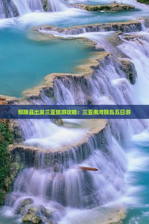 鄢陵县出发三亚南湾猴岛五日游