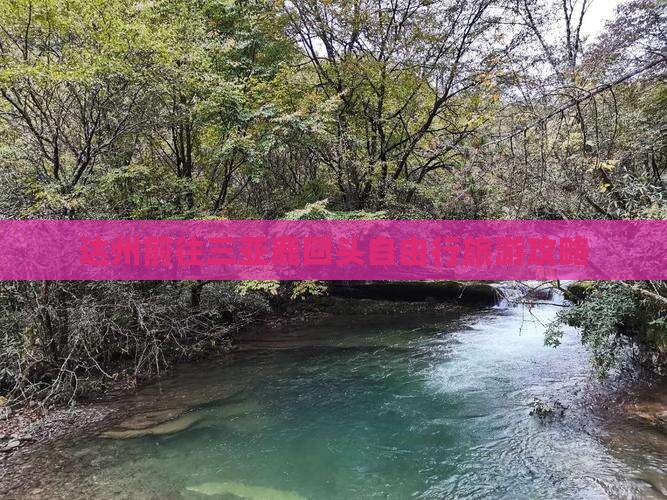 达州前往三亚鹿回头自由行