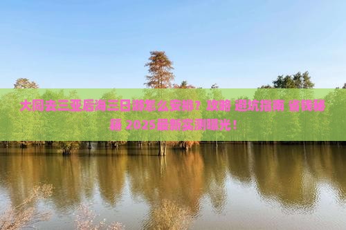 大同去三亚后海三日游
