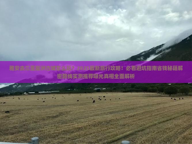 雅安去三亚崖洲古城旅行社