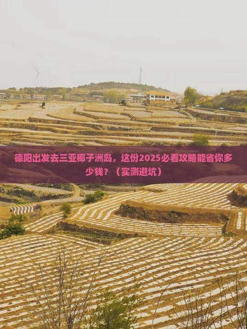 德阳前往三亚椰子洲岛二日游
