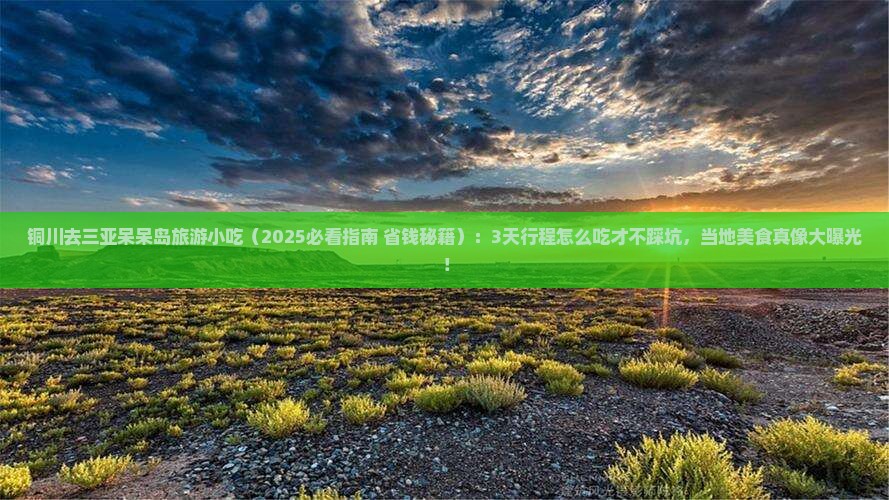 铜川去三亚呆呆岛旅游小吃