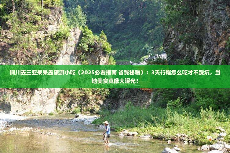 铜川去三亚呆呆岛旅游小吃