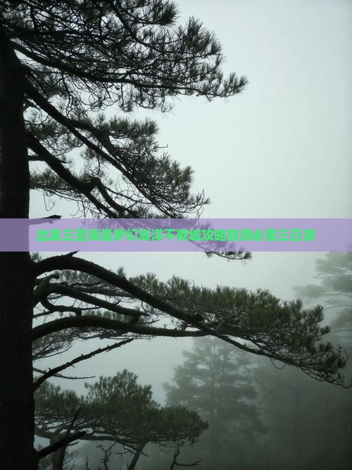 潮州去三亚海昌梦幻海洋不夜城三日游