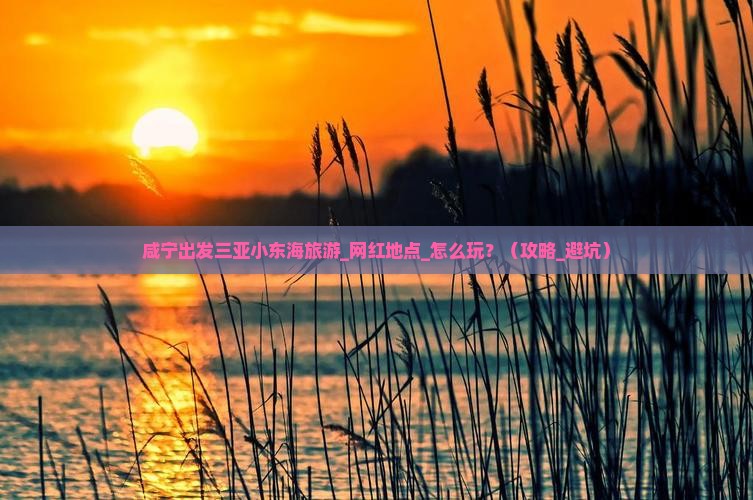 咸宁出发三亚小东海旅游网红地点