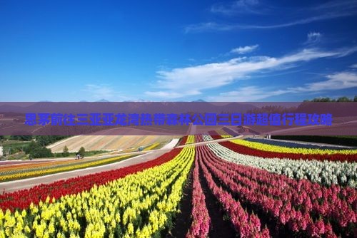 思茅前往三亚亚龙湾热带森林公园三日游