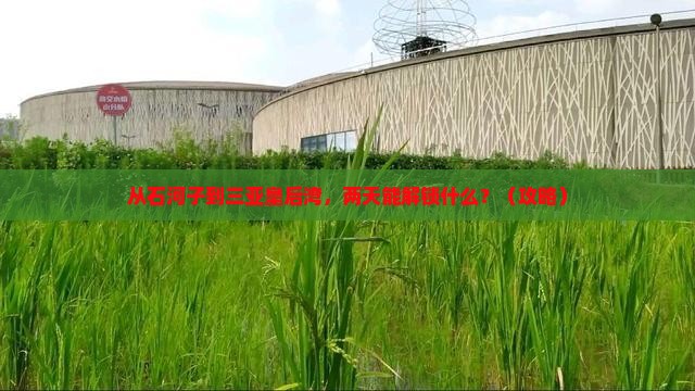石河子前往三亚皇后湾二日游
