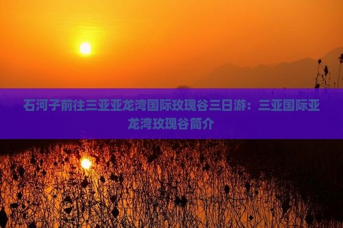 石河子前往三亚亚龙湾国际玫瑰谷三日游