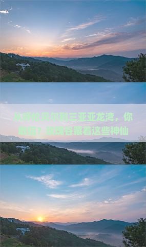 呼伦贝尔去三亚亚龙湾国际玫瑰谷旅游打卡点