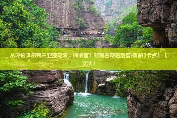 呼伦贝尔去三亚亚龙湾国际玫瑰谷旅游打卡点