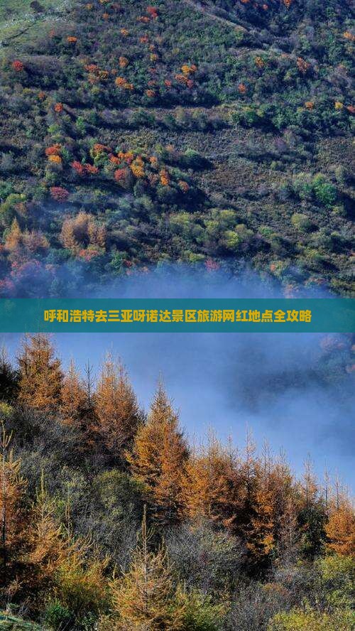 呼和浩特去三亚呀诺达景区旅游网红地点