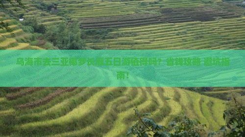 乌海市去三亚椰梦长廊五日游