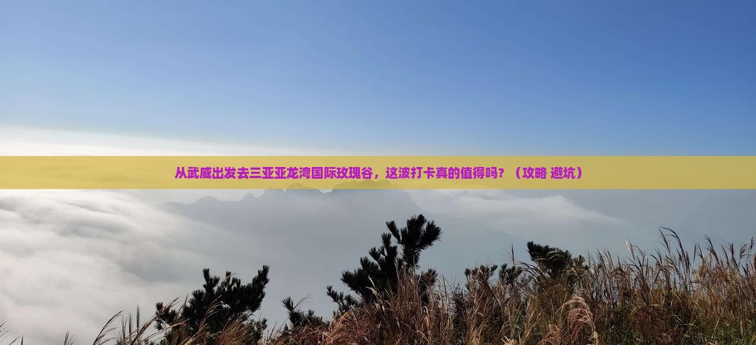 武威出发三亚亚龙湾国际玫瑰谷旅游打卡点