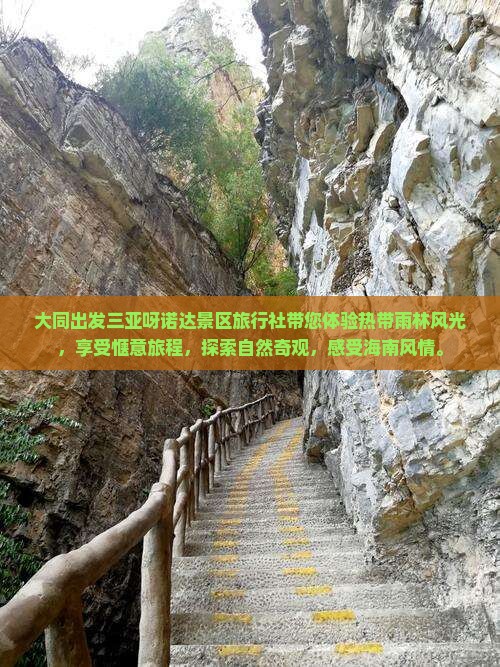 大同出发三亚呀诺达景区旅行社