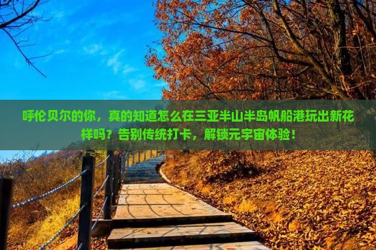 呼伦贝尔去三亚半山半岛帆船港哪里玩