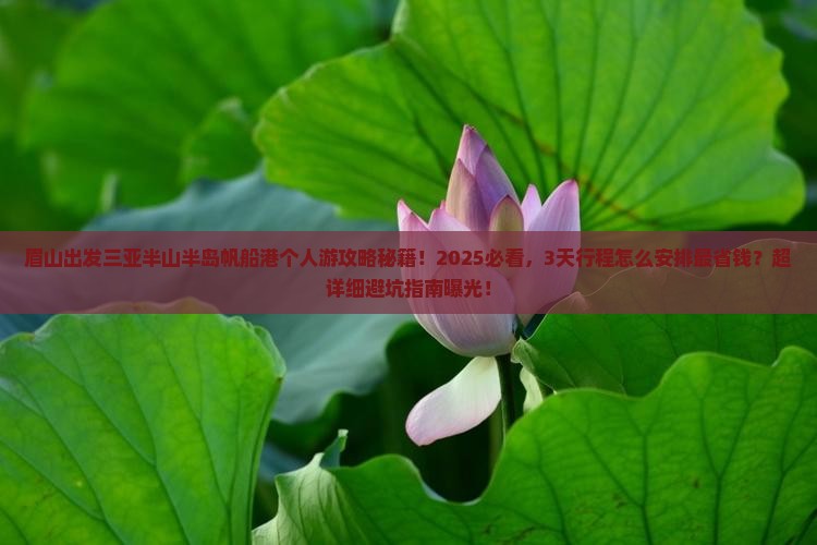 眉山出发三亚半山半岛帆船港个人游