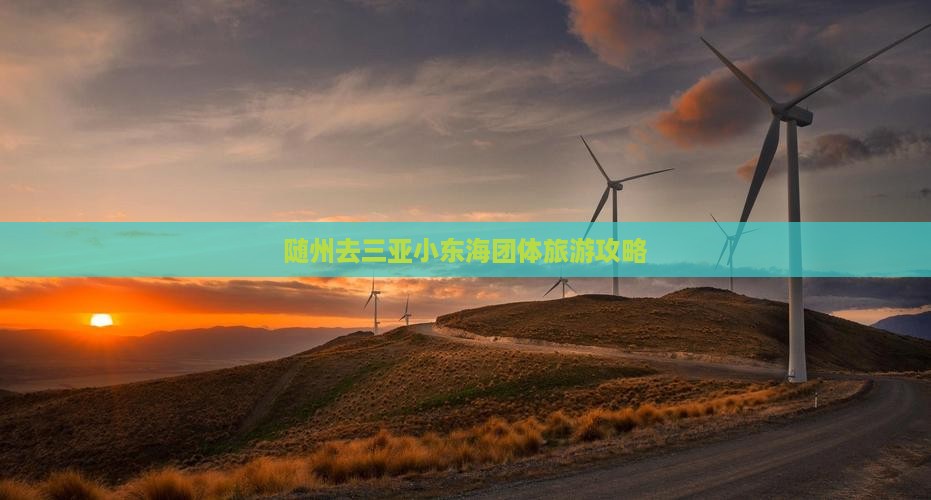 随州去三亚小东海团体旅游